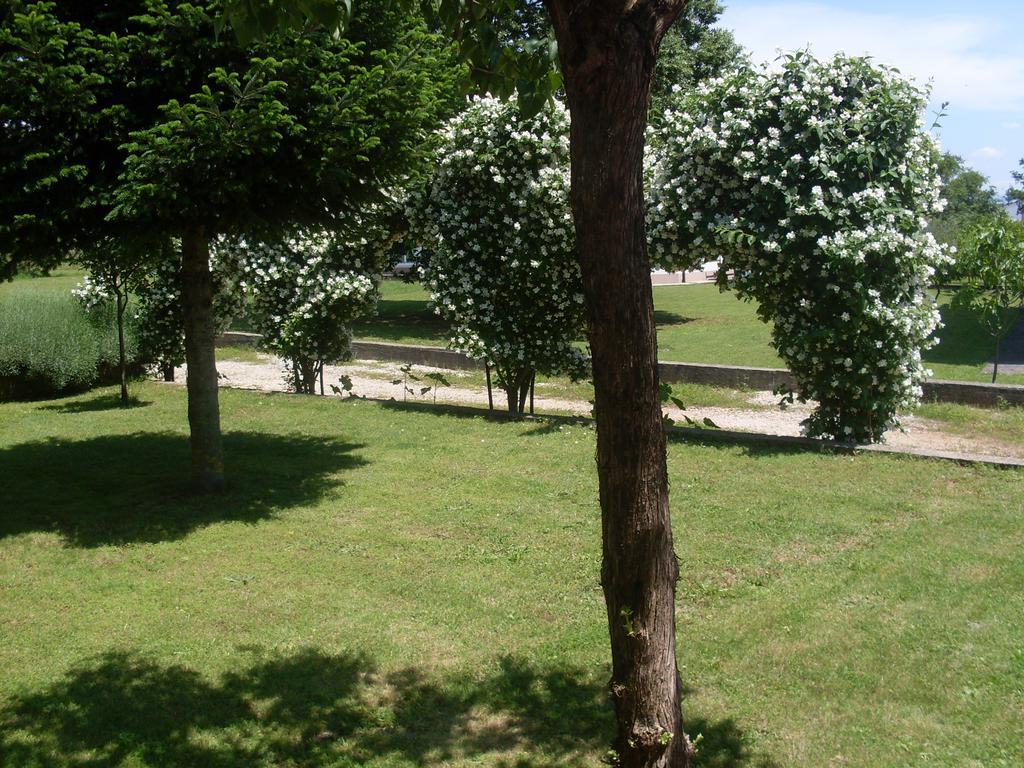 Casa Del Pellegrino M&A - Ostojici Hotel Medugorje Bagian luar foto